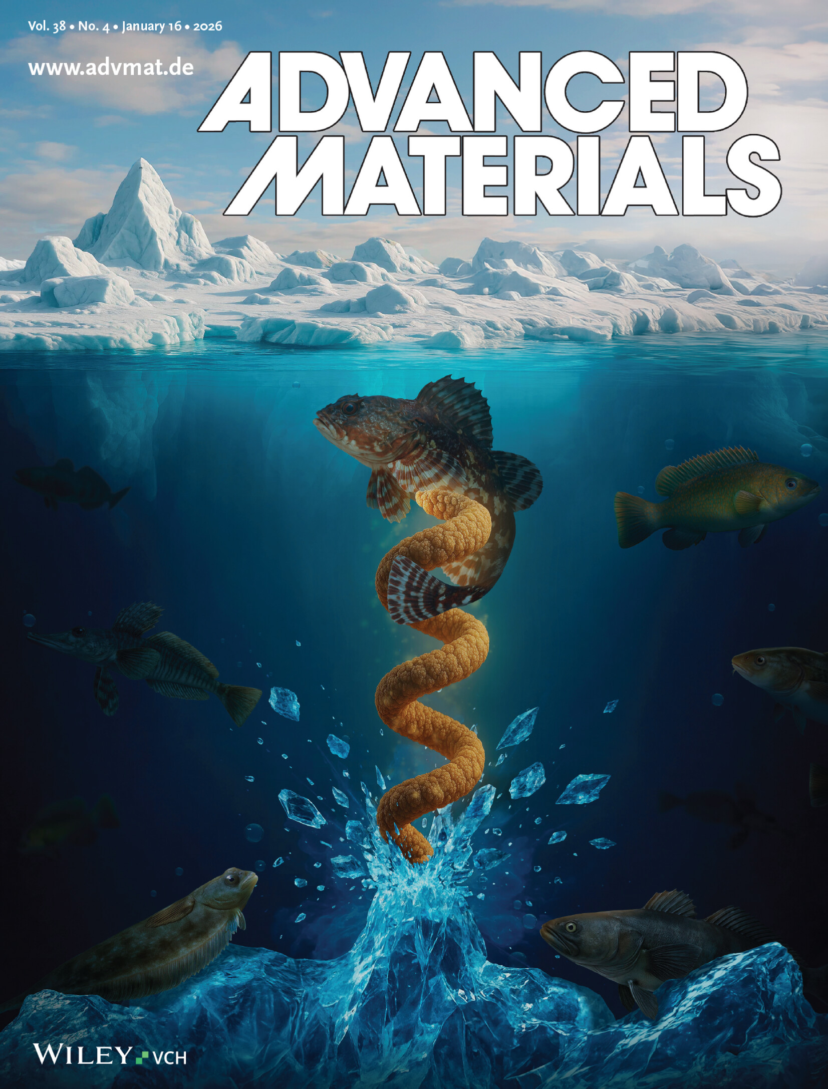 Advanced Materials Cover